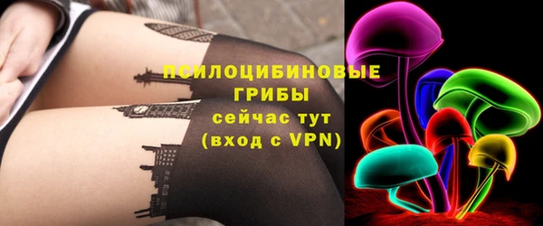 молекула духа Покачи