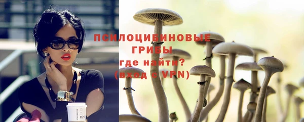 индика Верхний Тагил