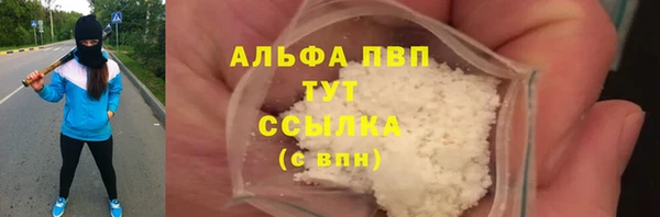 индика Верхний Тагил