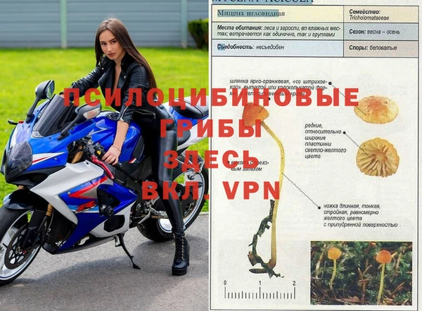 твердый Бугульма