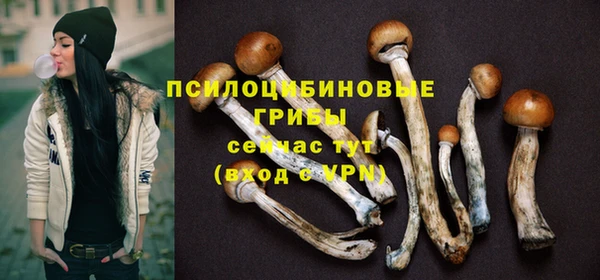 индика Верхний Тагил