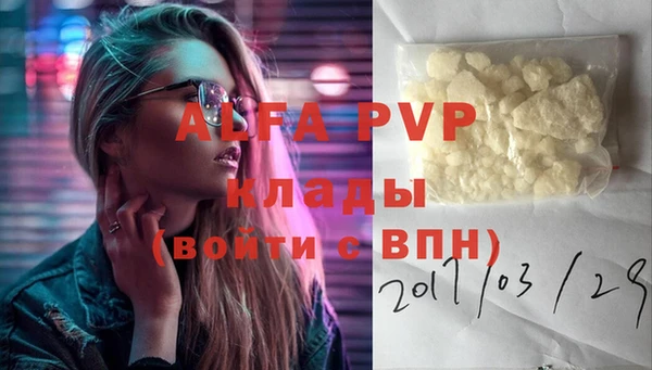 spice Верея