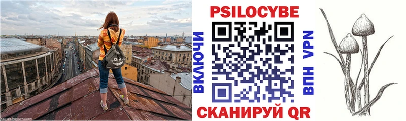 Псилоцибиновые грибы Psilocybe Усть-Илимск